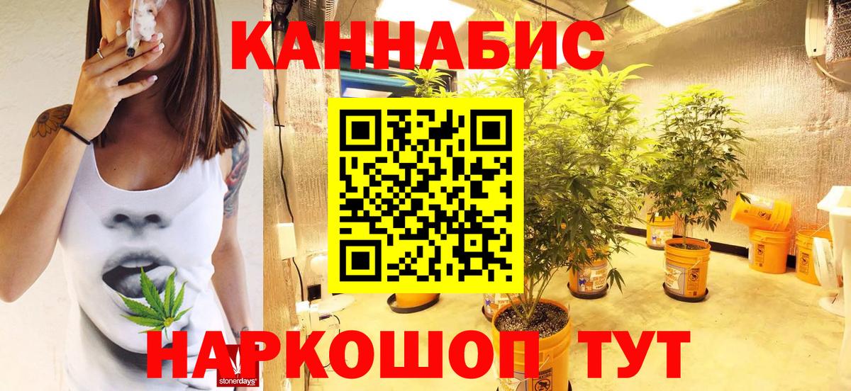 Каннабис планчик  Марихуана конопля  Вход с VPN  Конопля тримм  Брянск  Бошки марихуана LSD WEED 